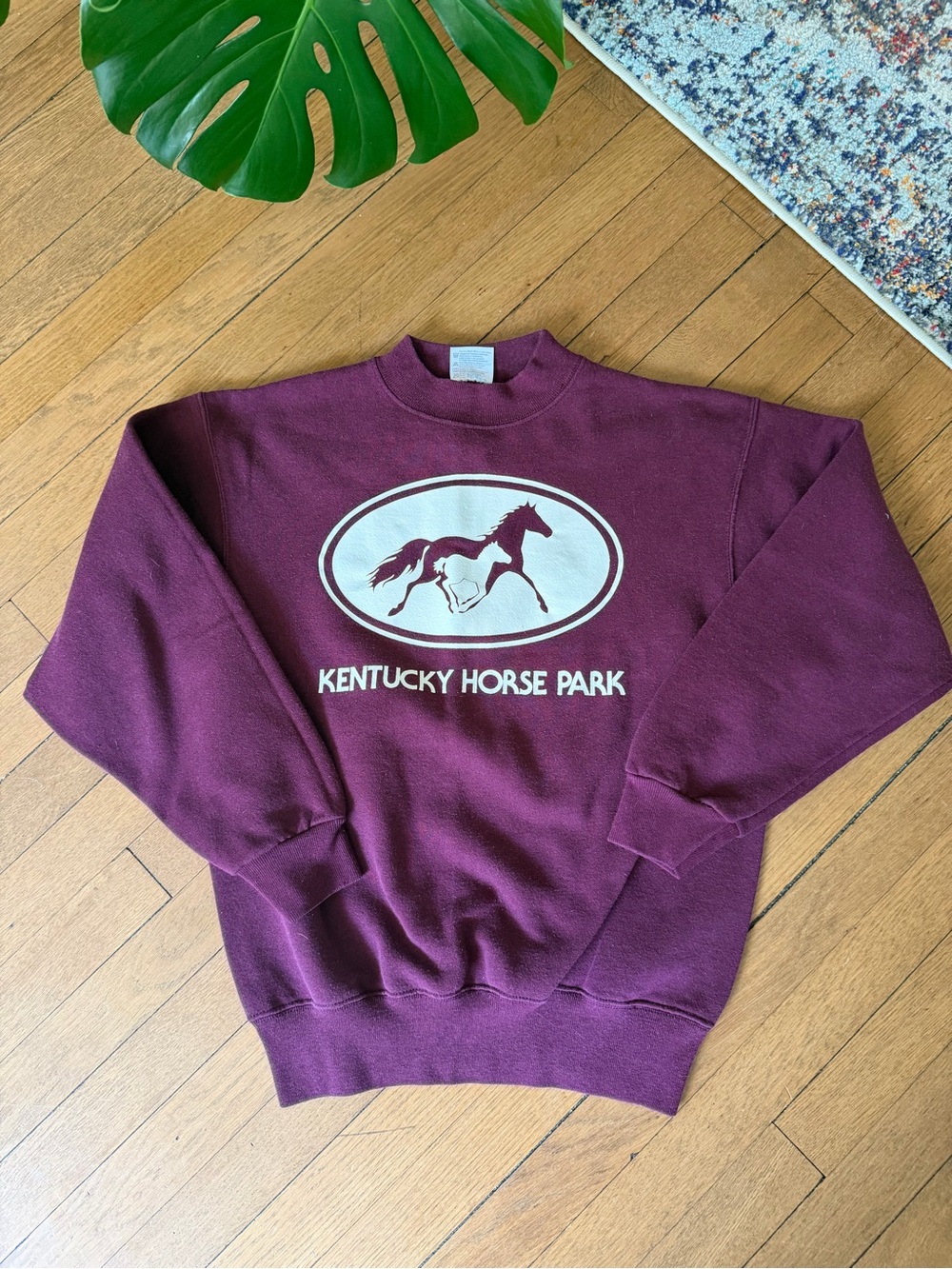 VTG 90s Kentucky Horse Park Hanes Crewneck Sweatshirt